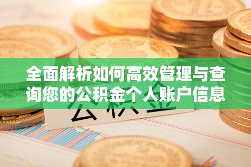 黄岩全面解析如何高效管理与查询您的公积金个人账户信息