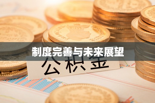 黄岩制度完善与未来展望