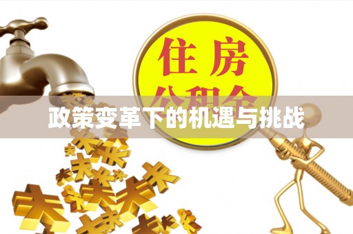 黄岩政策变革下的机遇与挑战