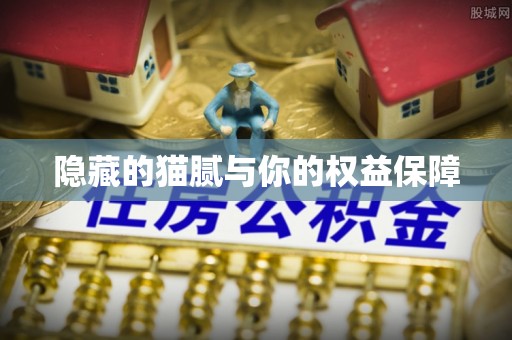 黄岩隐藏的猫腻与你的权益保障