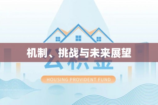 黄岩机制、挑战与未来展望